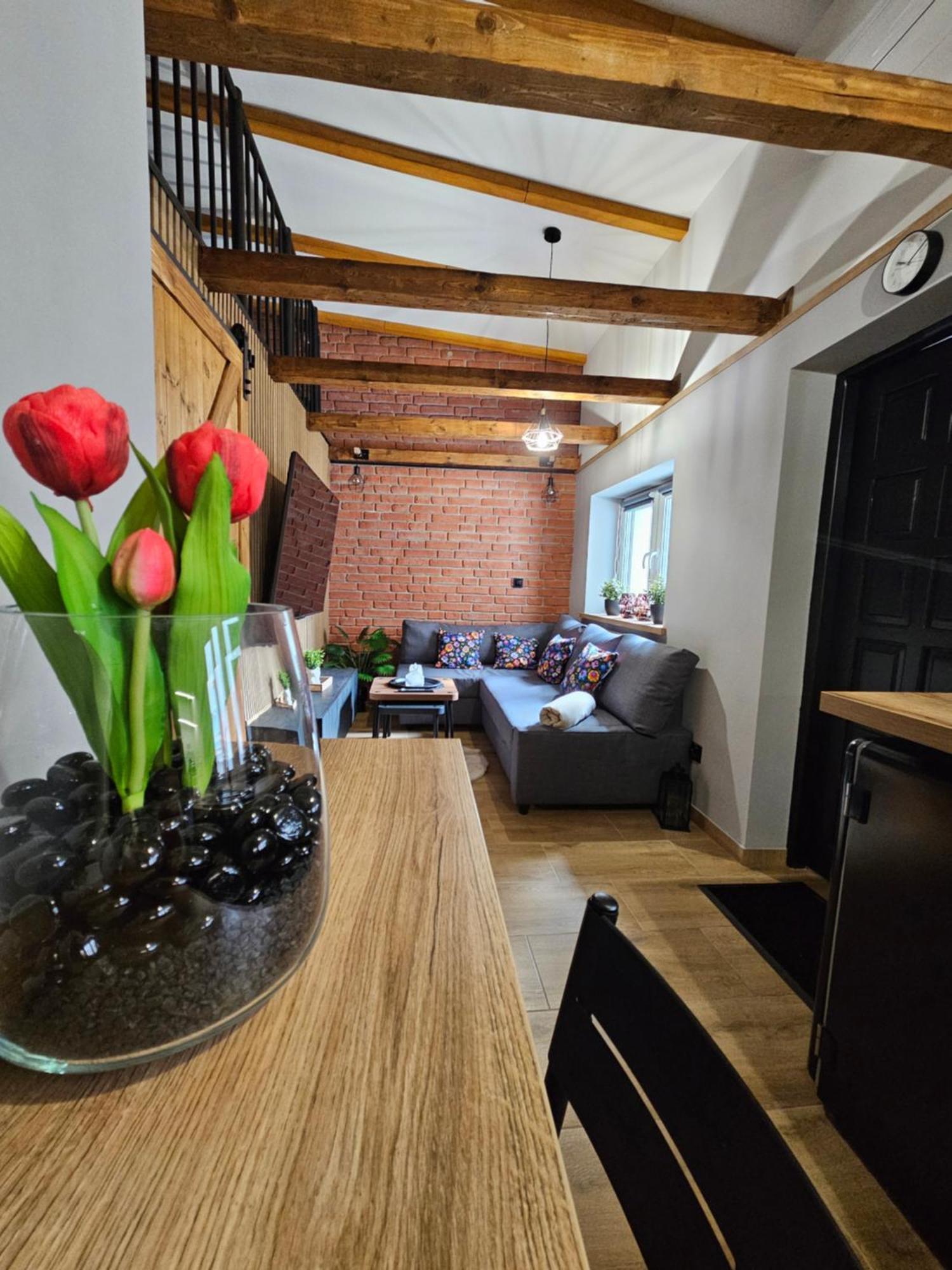 Noclegi Pod Stodola Krakow Exterior photo